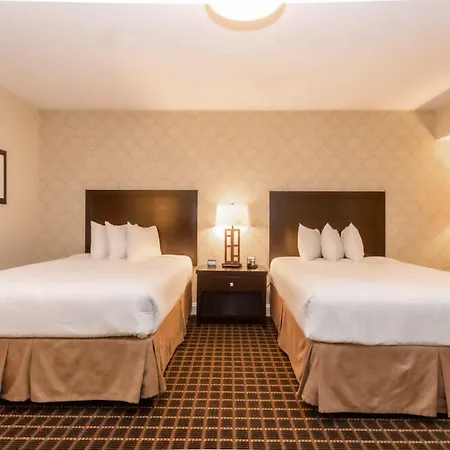 American Hotel-2