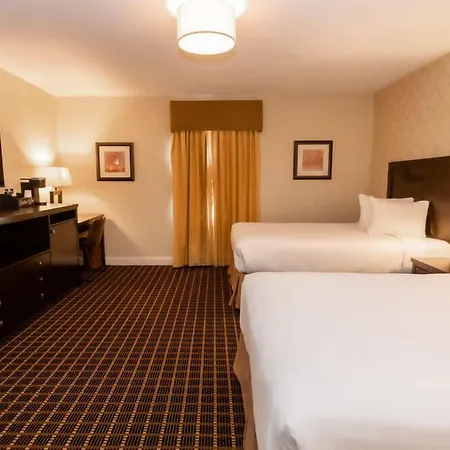 American Hotel-3