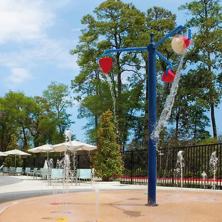 Springhill Suites By Marriott Houston The Woodlands-2