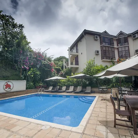 African Tulip Hotel-2