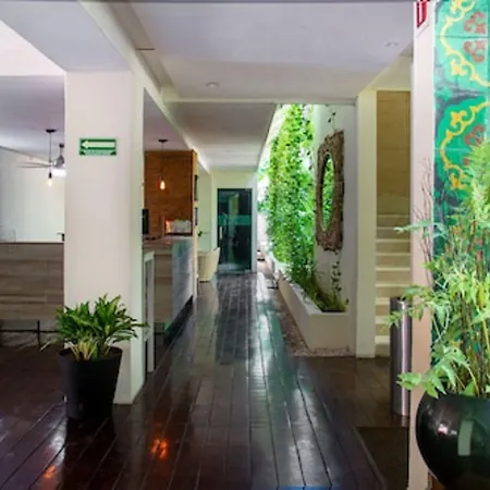 Hotel The Palm (Adults Only)-2