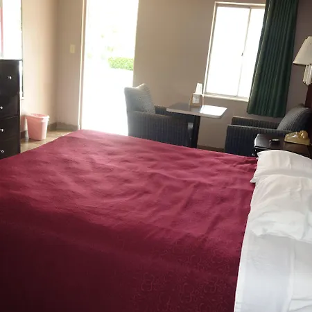 Palm City Motel-3