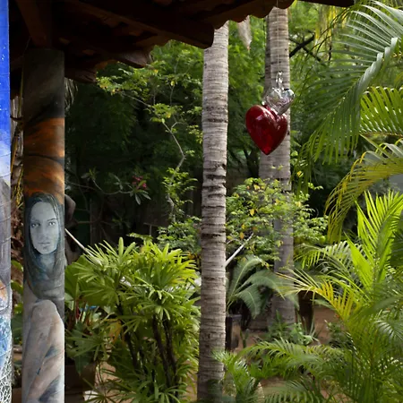 Hotel Villa Mozart Y Macondo-2