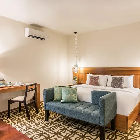 Edelmira Hotel Boutique-2