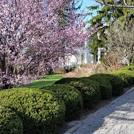 Albemarle Inn - Asheville-2