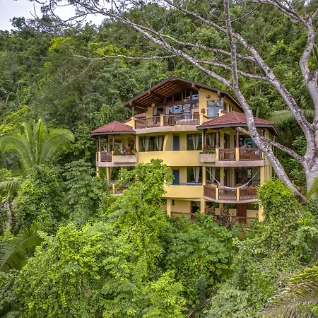 Sleeping Giant Rainforest Lodge-2