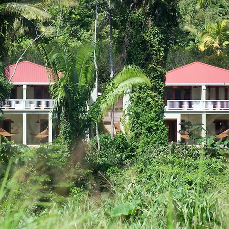 Sleeping Giant Rainforest Lodge-3