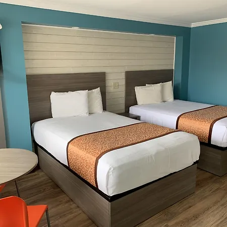 Dolphin Inn-2