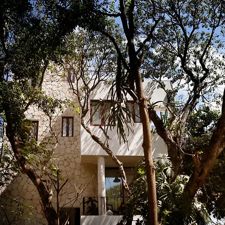 Hotel La Semilla A Member Of Design Hotels (Adults Only)-2