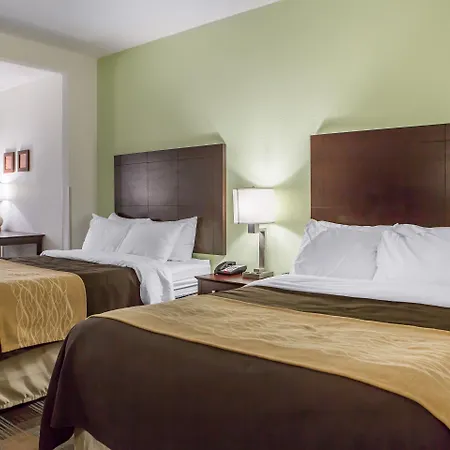 Comfort Inn Lexington South-2