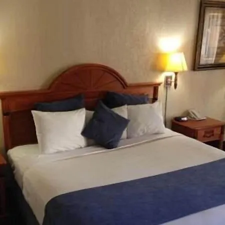 Downtowner Inn And Suites - Houston-2