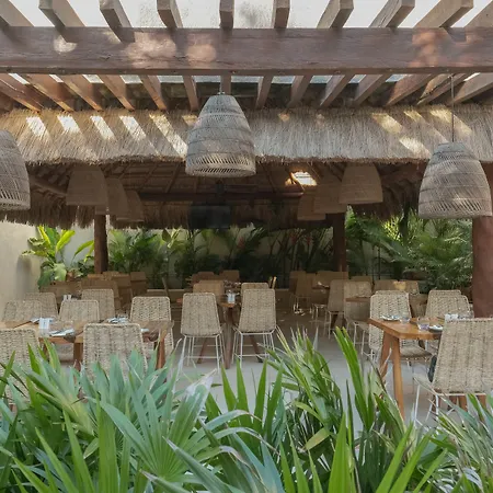 Mereva Tulum-3