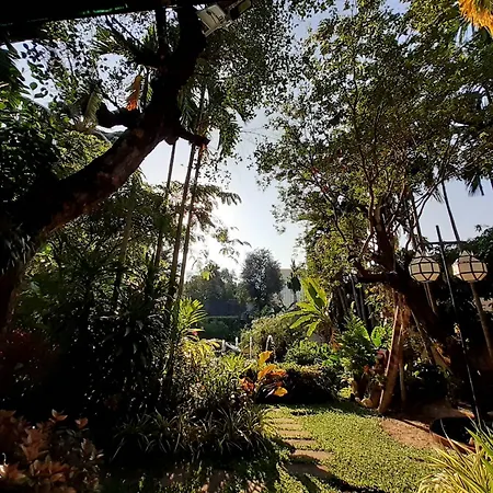 Viang Thapae Resort-2
