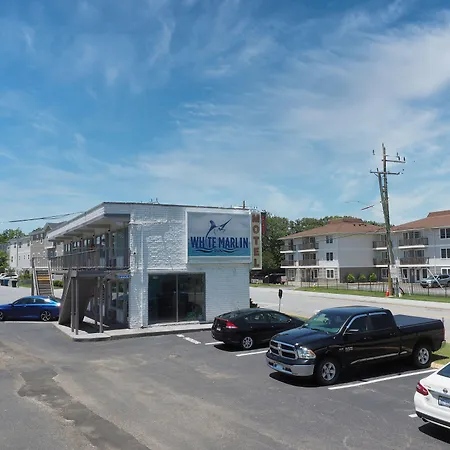 White Marlin Inn - Virginia Beach-2