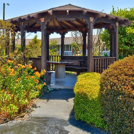 Surf Motel And Gardens-3