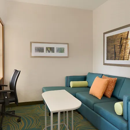 Springhill Suites By Marriott Tuscaloosa-3