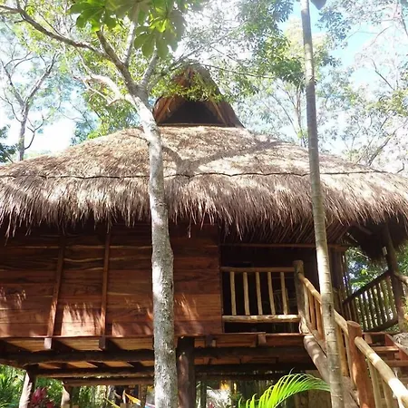 Casa Mango-3