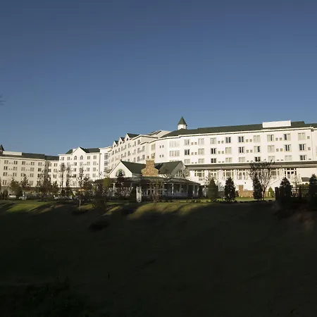 Dollywood'S Dreammore Resort And Spa-2