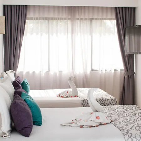 Hotel Silvestre-3