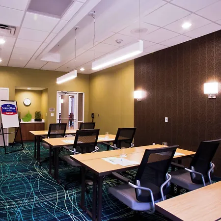 Springhill Suites By Marriott Mobile West-3
