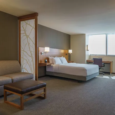 Hyatt Place Houston Galleria-3