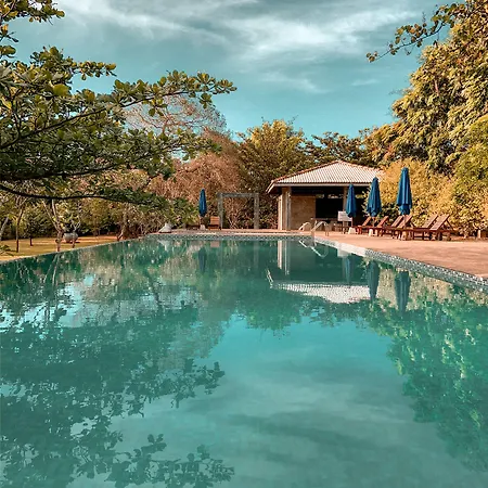 Amaara Forest Hotel Sigiriya-3
