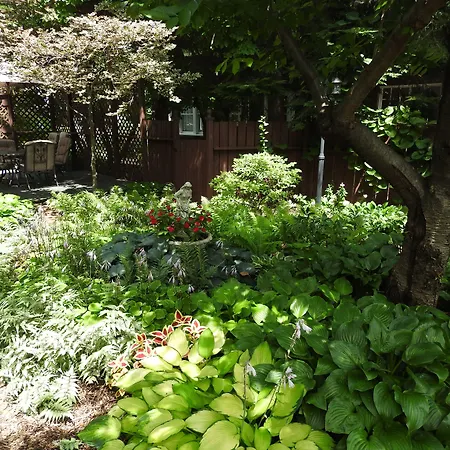 Champaign Garden Inn-3