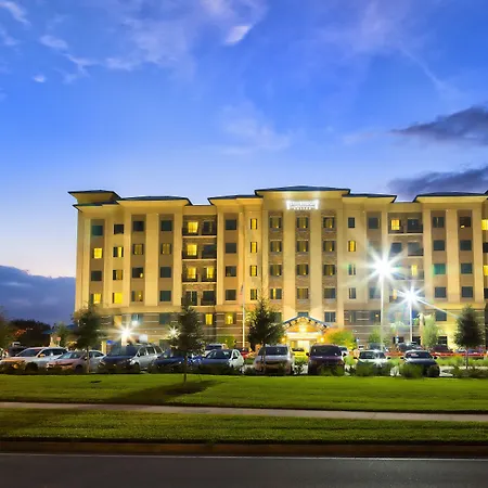 Staybridge Suites Orlando At Seaworld By Ihg - Free Breakfast & Shuttle To Seaworld Parks-3