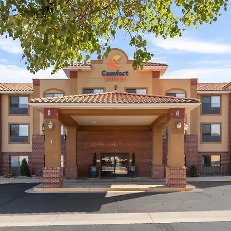 Comfort Suites Lakewood - Denver-3