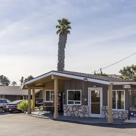 Ocean Palms Motel-3