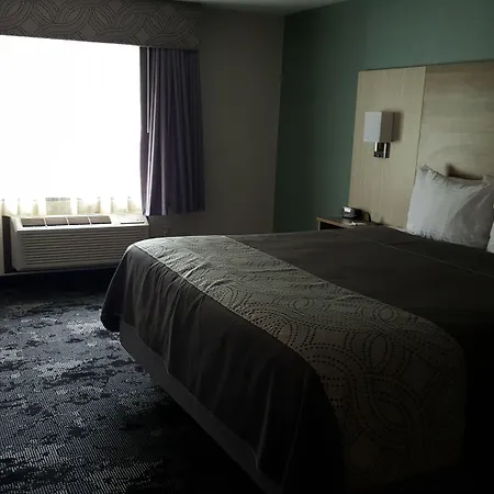 Aartpark Hotel Inn At Lewsiton-2