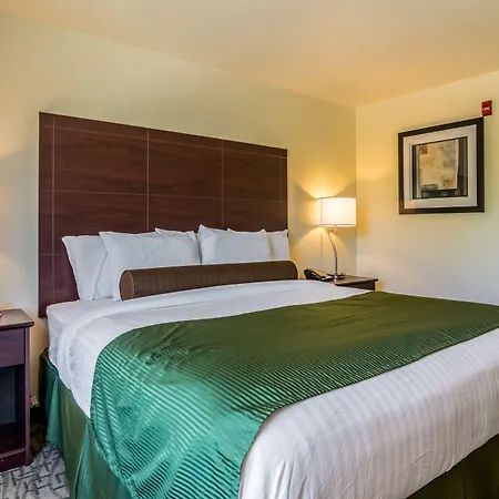 Cobblestone Hotel & Suites - Erie-2