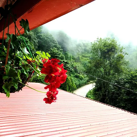 Hotel Sungrace-2
