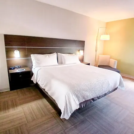 Holiday Inn Express Venice By Ihg-3