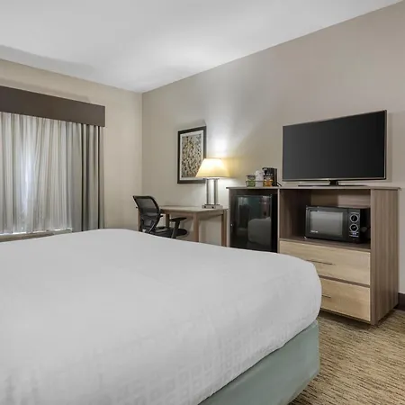 Best Western Executive Inn & Suites-2