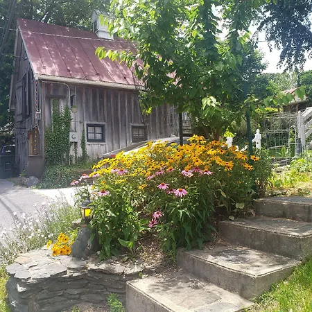 Lily Garden Bed And Breakfast-2