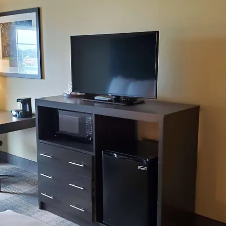 Best Western Plus New Orleans Airport Hotel-2
