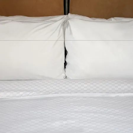 Four Points By Sheraton Dallas Fort Worth Airport North-2