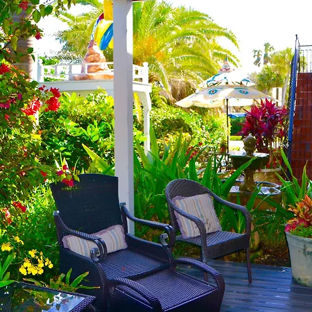 Sea Turtle Inn-3