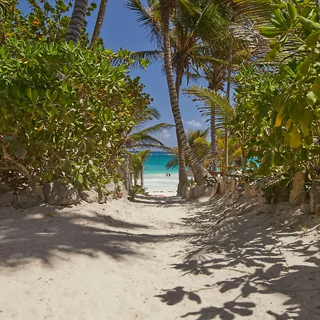 Dos Ceibas Tulum - Feel Good Hotel-3