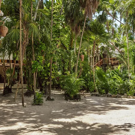 Dos Ceibas Tulum - Feel Good Hotel-2