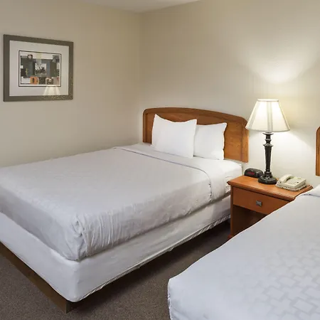 Belle Aire Motel - Downtown Convention Center - Gatlinburg-3