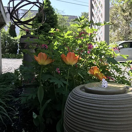 Dragonfly Guest House-2