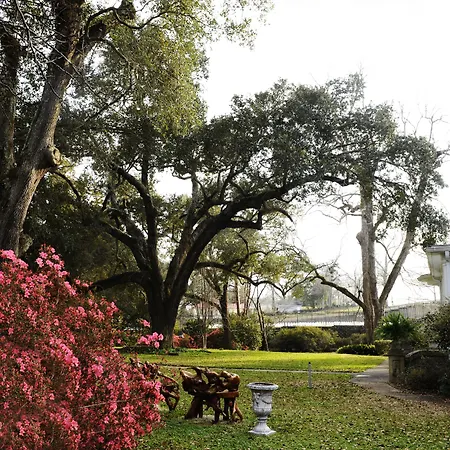Clermont Bluffs Bed & Breakfast-2