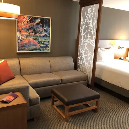 Hyatt Place St George/Convention Center-3