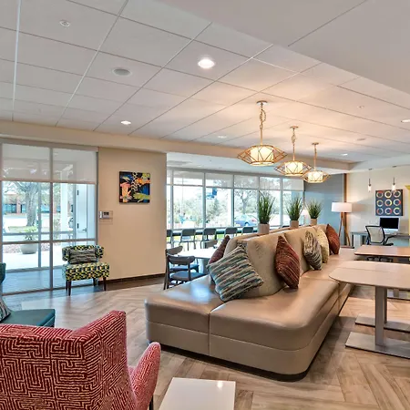 Home2 Suites By Hilton Tampa Usf Near Busch Gardens-3