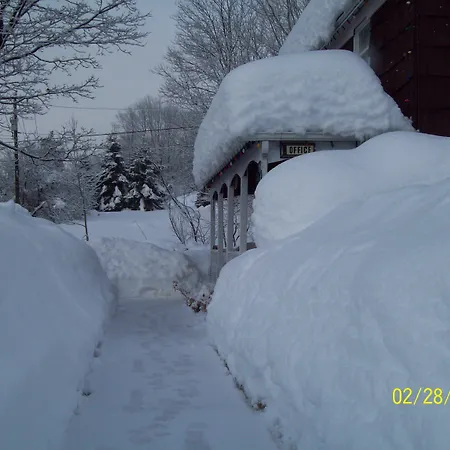 Cave Mountain Motel-3