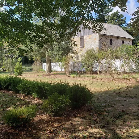 Miller-Dunham House B&B-3