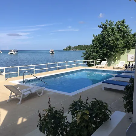 Ocean Palms-3
