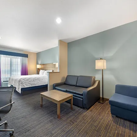 Best Western Plus San Antonio East Inn & Suites-3